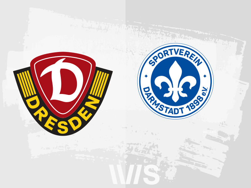 Paul Will begehrt - Dynamo Dresden Vize-Kapitän im Fokus mehrerer Klubs