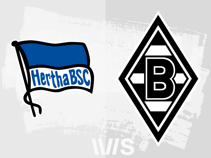Palko Dardai empfiehlt Bence den Verbleib bei Hertha BSC - 